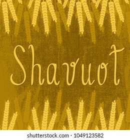 Shavuot. Concept of Judaic holiday. Brown background, burlap texture, ears of wheat, text name of the holiday