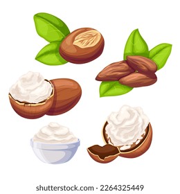 shea beauty butter set cartoon. natural cosmetic, organic ingredient, care product, white sheabutter, skin skincare, wellness nut, fresh treatment shea beauty butter vector illustration svg
