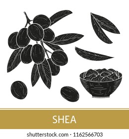Shea. Branch, leaves, fruit. Bowl, cream. Set. Black silhouette on white background.