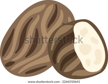Shea butter broun vector art