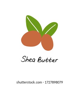 Shea butter. Cosmetic ingredient. Nutritional oil for skin care. Hand-drawn icon of shea nut. Vector illustration.