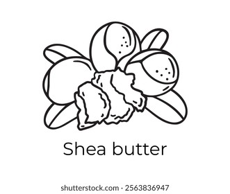 shea butter doodle hand drawn icon. Outline drawing plant organic natural cosmetic ingredient shea butter line clipart symbol . Vector illustration