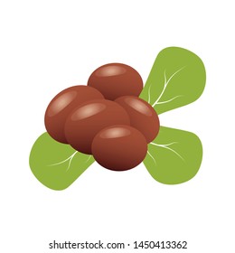 Shea butter. Shea nuts with green leaves svg