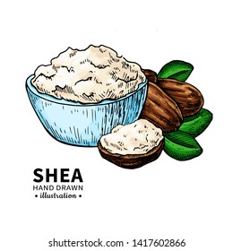 Shea butter vector drawing. Isolated vintage  illustration of nuts, butter and leaves. Organic oil and butter sketch. Beauty and spa, cosmetic ingredient. Great for label, poster, flyer, packaging des