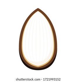 Shea butter vector. Shea butter on white back ground.