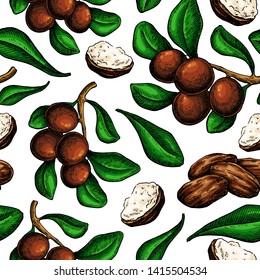 Shea butter vector seamless pattern drawing. Isolated background with berry, nuts, branch. Organic essential oil sketch. Beauty and spa, cosmetic ingredient. Great for packaging design. svg