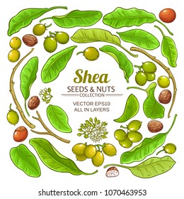 shea elements vector set