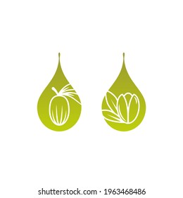 Shea Nut And Argan Nut With Oil Drop Green Icon. Vitellaria Beauty And Cosmetics Oil. Cosmetic Ingredient Carotene, Carotin. Shea Butter For Skin Care. Vector Flat Illustration Isolated On White. 