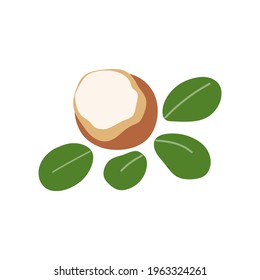 Shea nut butter. Vector illustration design.