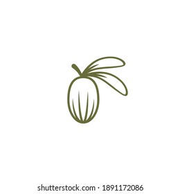 Shea nut green icon. vitellaria beauty and cosmetics oil. Cosmetic ingredient carotene, carotin. shea butter for skin care. Vector flat illustration isolated on white.  svg