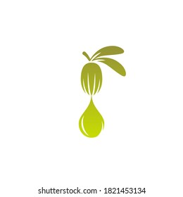 Shea nut  with oil drop green icon. vitellaria beauty and cosmetics oil. Cosmetic ingredient carotene, carotin. shea butter for skin care. Vector flat illustration isolated on white. 