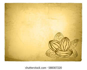 Shea Nut Vintage Template With Copyspace