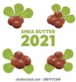 Shea nuts with green leaves. Brown shea nut and organic nuts shea 
