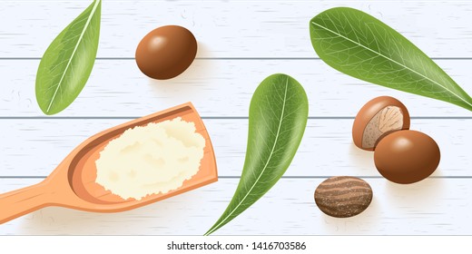 Shea nuts, leaves on white wooden shabby desk. shea butter on wooden spoon. shi tree pods. Vitellaria paradoxa. template copy space. cosmetics, aromatherapy, perfume, healthcare, ointments svg