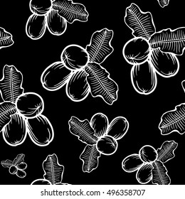 Shea nuts plant, berry, fruit natural organic butter ingredient. Hand drawn vector sketch engraved illustration. White Shea nuts pattern on black background. Treatment, care, food ingredient 