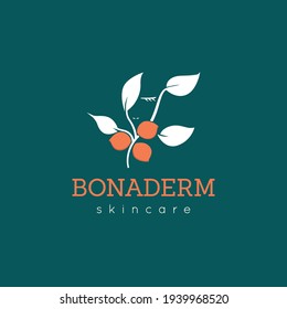 Shea nuts and woman face combination for logo design. Shea plant for skincare. Natural skincare product. Minimal symbol for natural cosmetic. shea butter and oil - vector