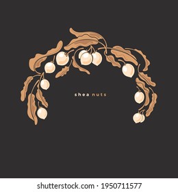 Shea symbol. Circle frame. Vector golden branch, botany leaves, butter nuts. Art vintage illustration on black background. Organic cosmetic for skin beauty and spa