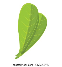 Shea tree leaf icon. Cartoon of shea tree leaf vector icon for web design isolated on white background