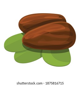 Shea tree nuts icon. Cartoon of shea tree nuts vector icon for web design isolated on white background