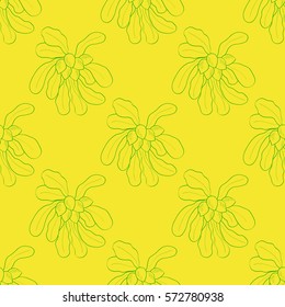 Shea tree nuts plant, berry, fruit natural organic butter ingredient. Hand drawn sketch illustration. Treatment, cosmetics, food ingredient, seamless pattern