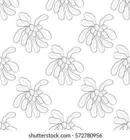 Shea tree nuts plant, berry, fruit natural organic butter ingredient. Hand drawn sketch illustration. Treatment, cosmetics, food ingredient, seamless pattern