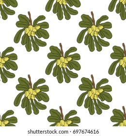 Shea tree nuts plant, berry, fruit natural organic butter ingredient. Hand drawn ink sketch illustration. Treatment, cosmetics, food ingredient. Seamless pattern, for print, wrapping, wallpaper