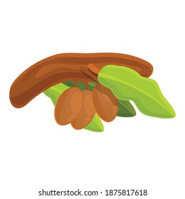 Shea tree wood branch icon. Cartoon of shea tree wood branch vector icon for web design isolated on white background