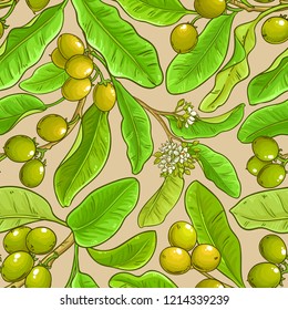 shea vector pattern