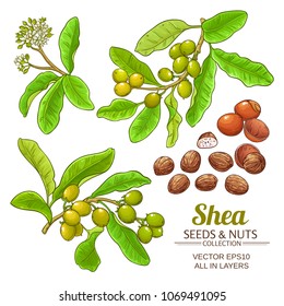 Shea Vector Set