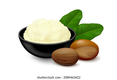 Shea (Vitellaria paradoxa) butter in a black ceramic bowl, two nuts (shelled, unshelled) and leaves isolated on white background. Side view. Realistic vector illustration. svg