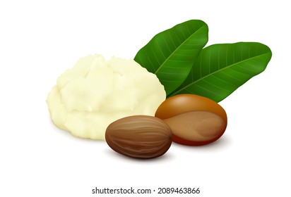 Shea (Vitellaria paradoxa) butter, two nuts (shelled, unshelled) and leaves isolated on white background. Side view. Realistic vector illustration. svg