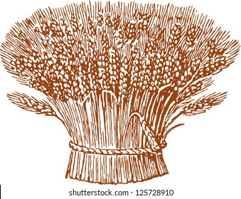 sheaf