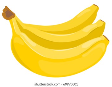 Sheaf of bananas isolated on white. Vector illustration.