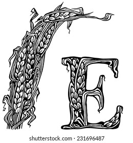 Sheaf, ears and the letter E. drawings.