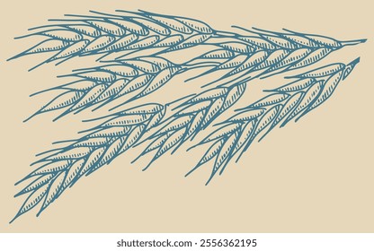 A sheaf of ears in vintage engraving style. Hand drawn, not AI