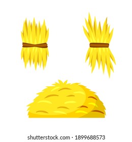 Sheaf of hay. Village harvest. Yellow dried plants. Production of natural food on farm. Set of Stack of wheat ears