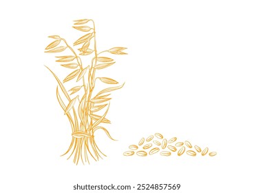 Sheaf de espiga de aveia. Semente de gravura vintage para emblema, sinal de ouro, design de pacote de alimentos, padaria, leite vegano orgânico. Um mingau de aveia saudável. Ilustração vetorial