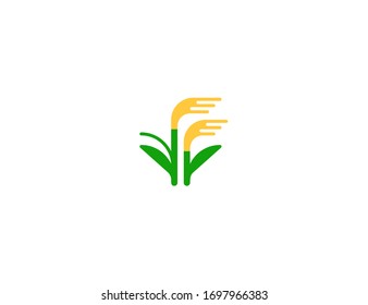 Sheaf of Rice vector flat icon. Isolated rice plant emoji illustration 