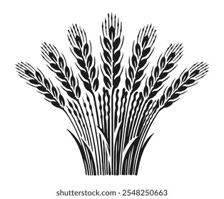 Sheaf of wheat ears. Harvest of grain crops. Barley or rye stalks vector illustration