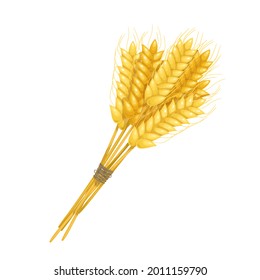 Blätter von Weizenähren, Spikelets und Körnern. Herstellung von Mehl oder Bierdesign. Vektorgrafik.