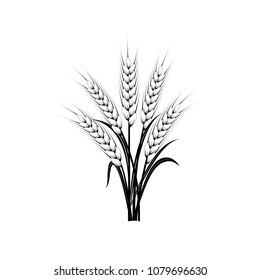 Sheaf of wheat ears. Symbol of organic agriculture and natural harvest. Black silhouettes on white. 