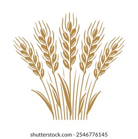 Sheaf of wheat ears. Vector drawing whole wheat stalks and grains for farm agriculture, baking and healthy eating