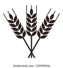 Sheaf of wheat engraving isolated on white background
