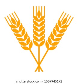 Sheaf of wheat engraving isolated on white background