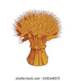 Sheaf of wheat engraving, isolated on white background. Vector illustration