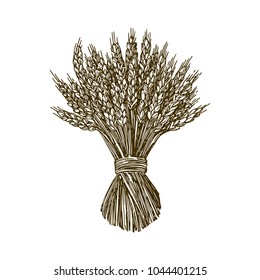 Sheaf of wheat. Engraving style. Vector illustration. 