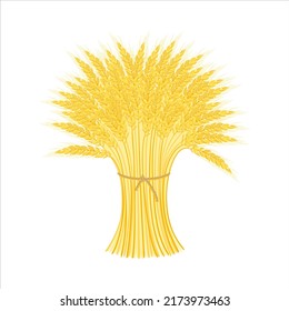 Sheaf of wheat isolated on white background. Agricultural cereal ears bunch. Vector cartoon flat illustration.