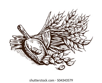 Sheaf of wheat and a wooden ladle vector illustration. Engraving ink.