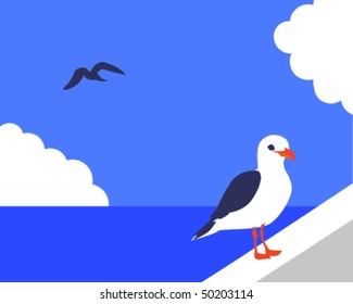 shearwater