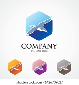 Shearwater logo concept in hexagonal shape